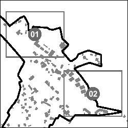 Arespalditza planoa gasa