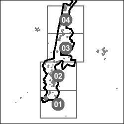 Retes de Llanteno planoa argiteria