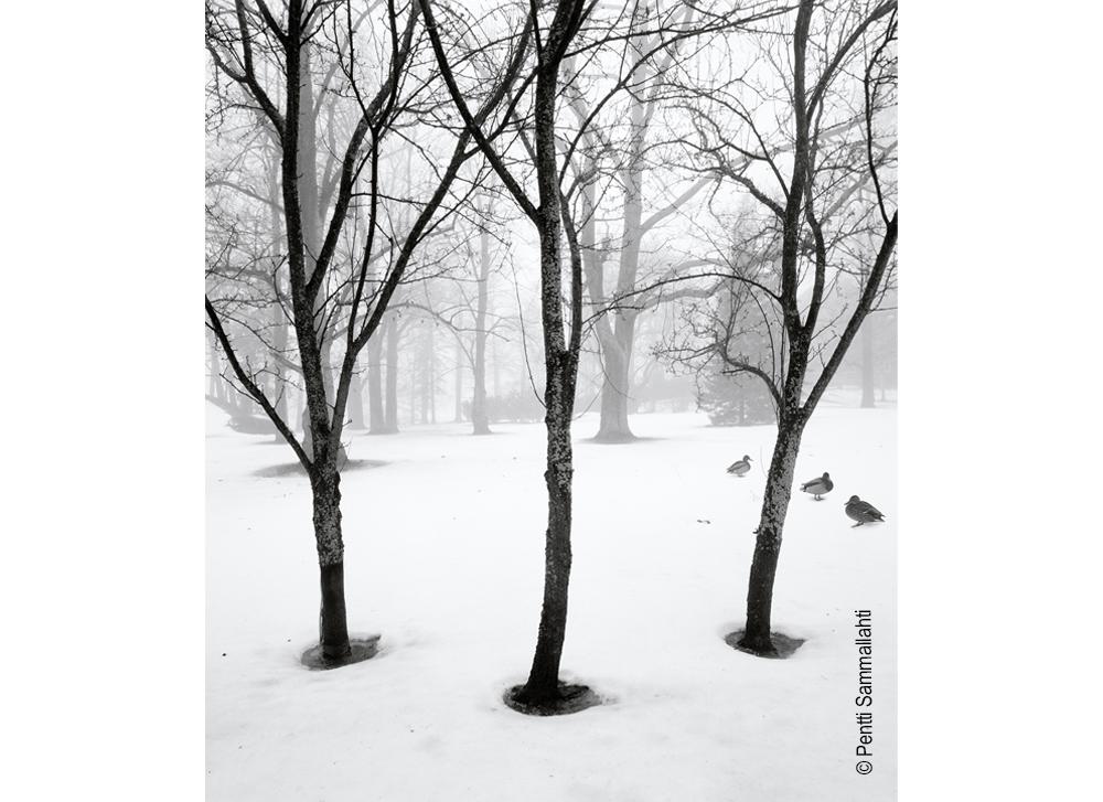 PENTTI SAMMALLAHTI. Miniaturas