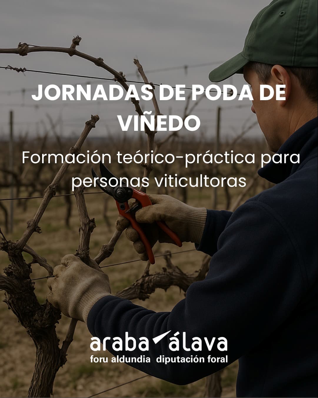 Jornadas de poda de viñedo