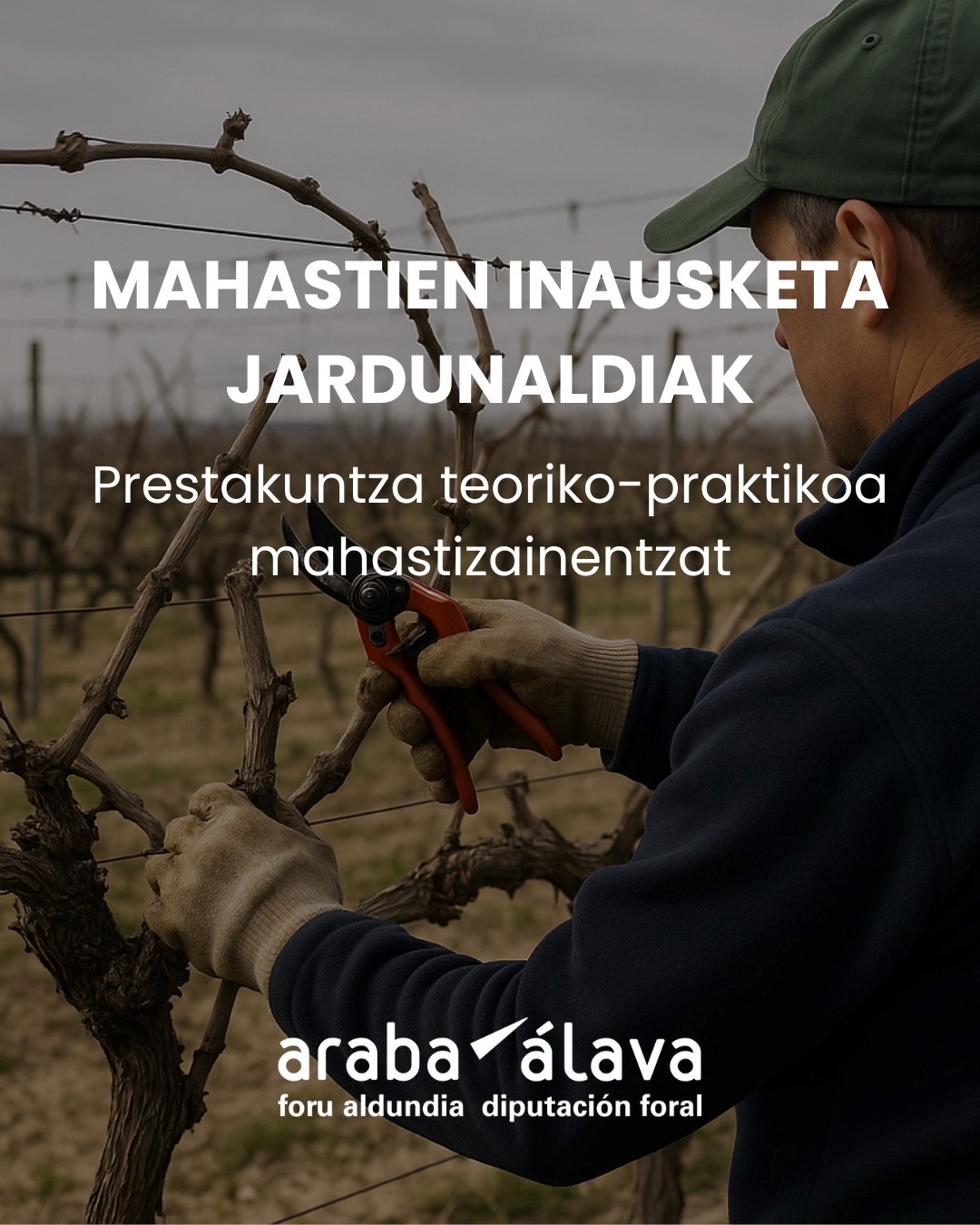 Mahastien inausketa jarduanldiak